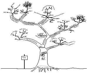 Ginkgo Criticus Purus